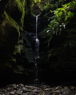 Tasmania